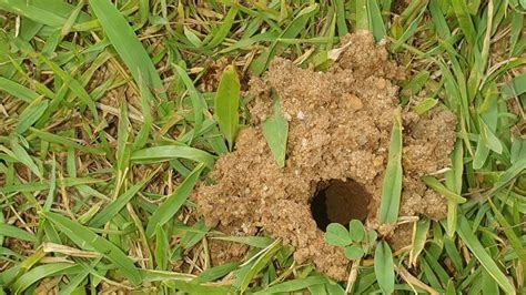 rate my hole nude